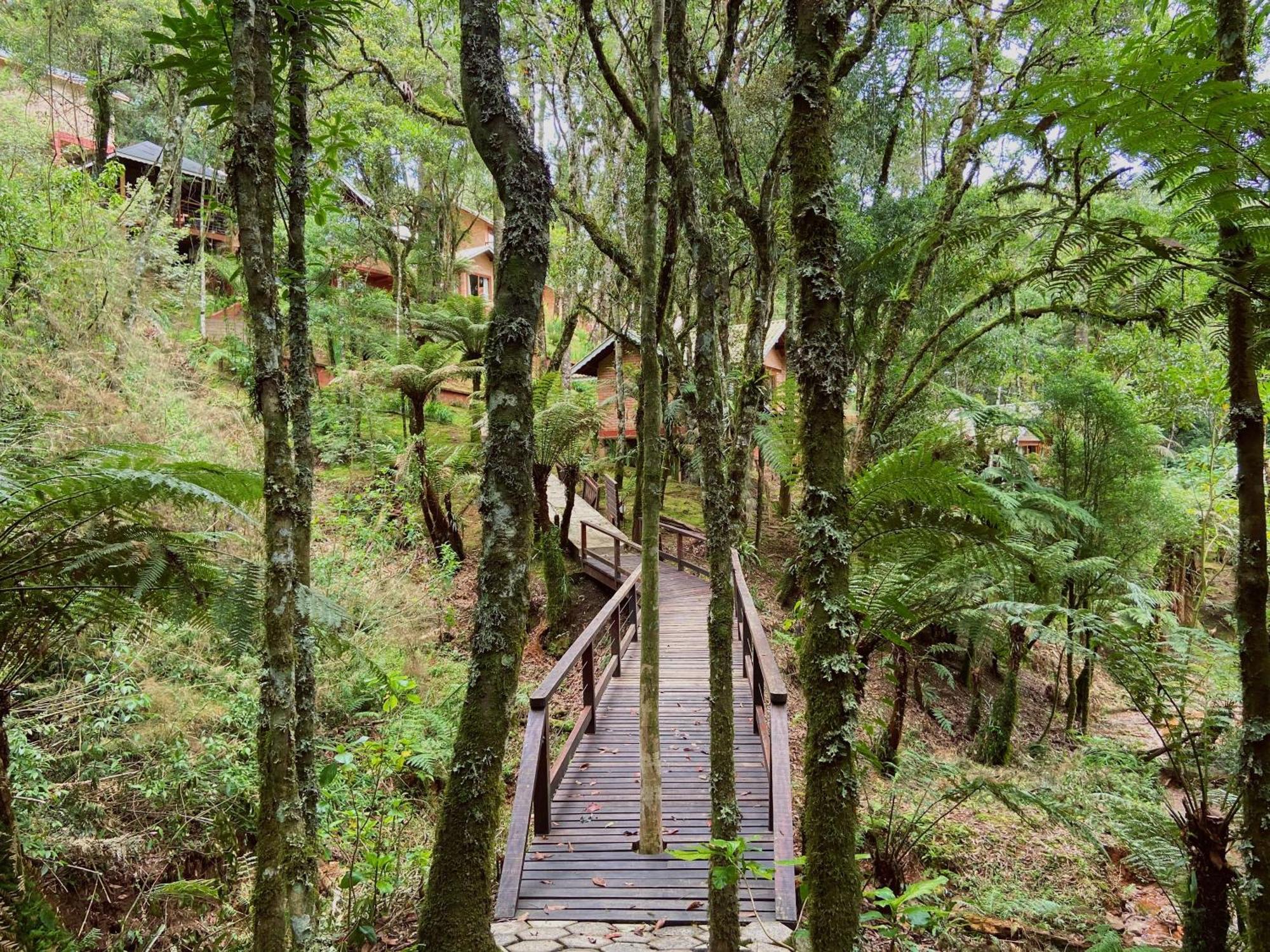 Vivie Pousada Monte Verde Kültér fotó